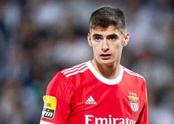 António Silva de saída do Benfica por vários milhões?