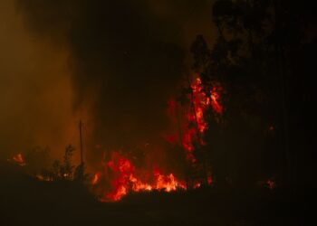 CHOCANTE: PSP detém incendiário em flagrante