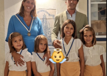 Atualização acerca das netas de Ribeiro Telles