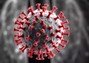 Detetado um caso do vírus HMPV em Portugal