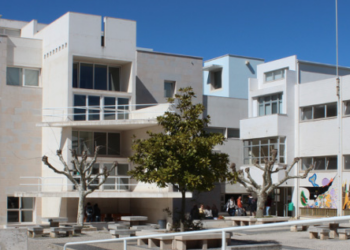 Menina agredida por colegas em Alcobaça: Informação