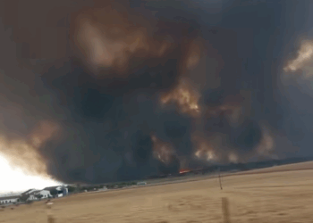 Bombeira ferida em Arouca