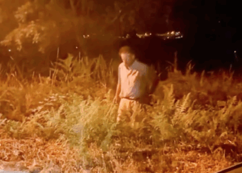 Populares apanham homem a pegar fogo em flagrante e gravam tudo