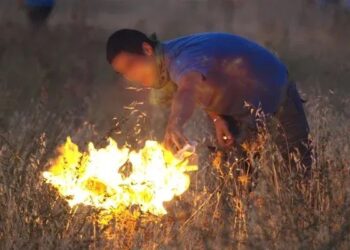 Carta aberta sobre os incêndios torna-se viral
