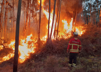 Carro da CNN ardeu em incêndio; jornalistas salvos pelos bombeiros