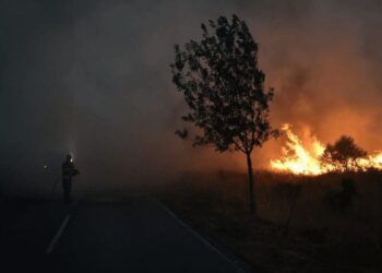 Rapaz de 15 anos apanhado a atear fogo em mata