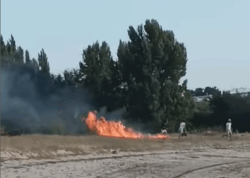Grupo de jovens filmados a pegar fogo em Viana do Castelo