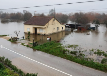 Diques do Mondego podem rebentar a qualquer momento