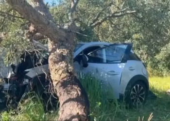 Bebé fica órfã: pai matou a mãe e morre em acidente a seguir