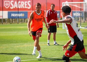 Pormenor de Palhinha no primeiro treino do Benfica impressiona