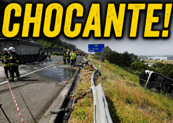 Despiste junto às portagens da A8 em Loures faz um morto