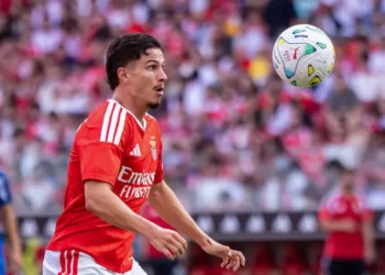 Volte-face no futuro de Ivanovic no Benfica